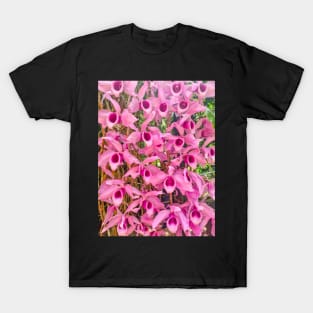 Pink Epiphytic Orchid (Dendrobium anosmum) T-Shirt